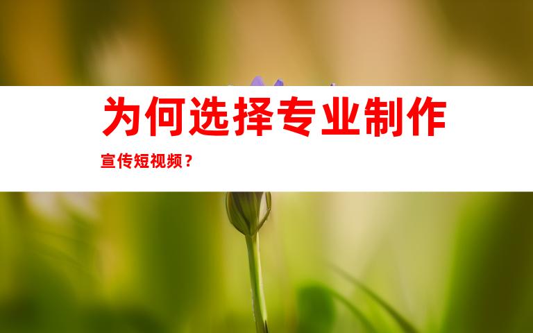 为何选择专业制作宣传短视频？