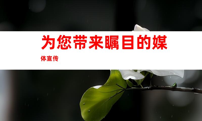 为您带来瞩目的媒体宣传