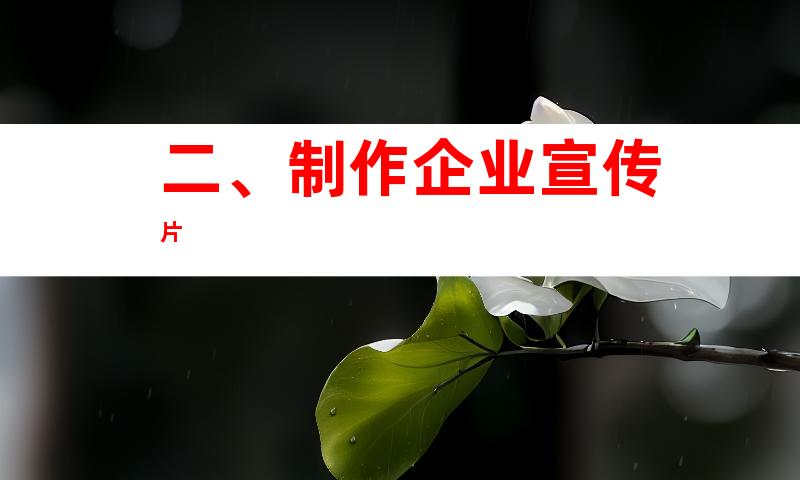 二、制作企业宣传片