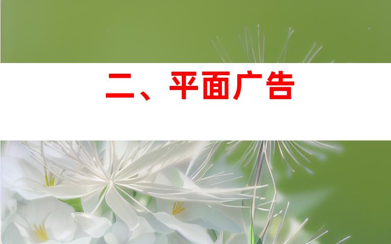 二、平面广告