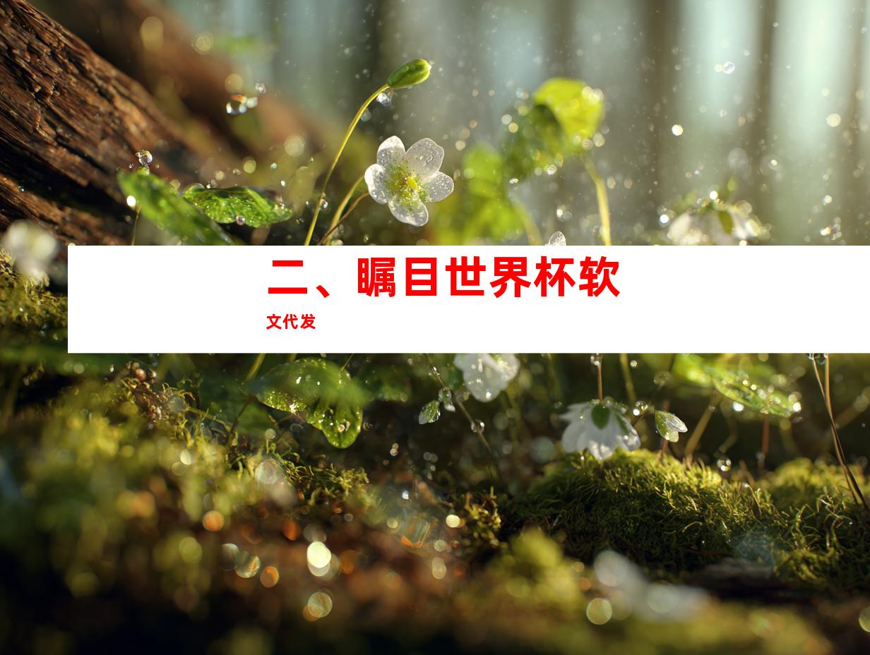 二、瞩目世界杯软文代发
