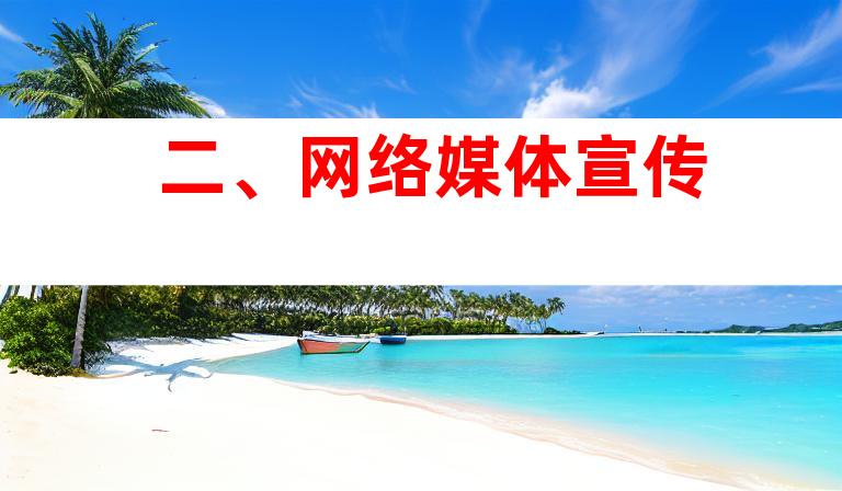 二、网络媒体宣传