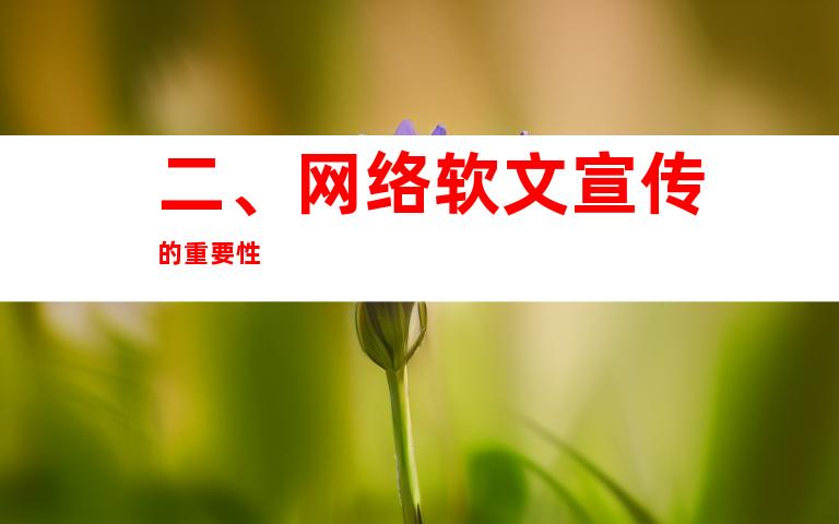 二、网络软文宣传的重要性
