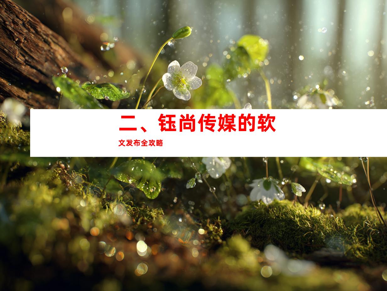 二、钰尚传媒的软文发布全攻略