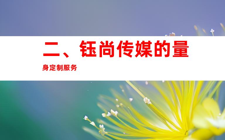 二、钰尚传媒的量身定制服务