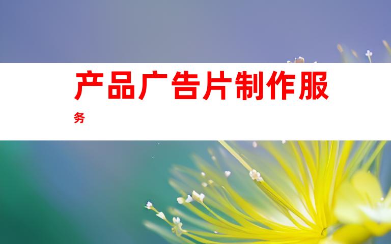 产品广告片制作服务