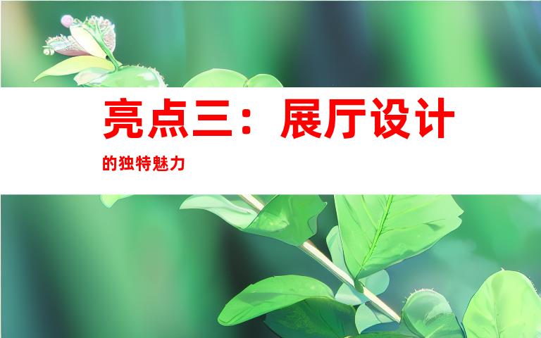 亮点三：展厅设计的独特魅力