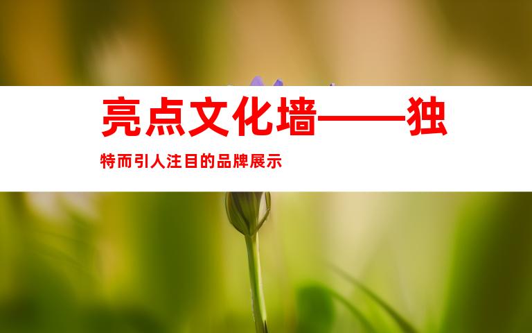 亮点文化墙——独特而引人注目的品牌展示