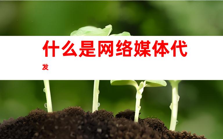 什么是网络媒体代发