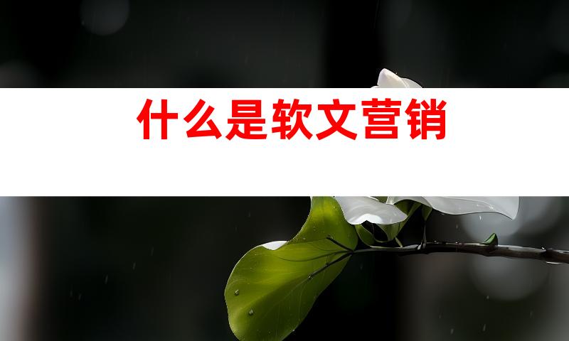 什么是软文营销