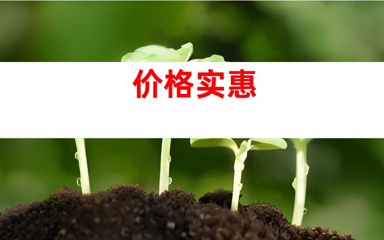 价格实惠