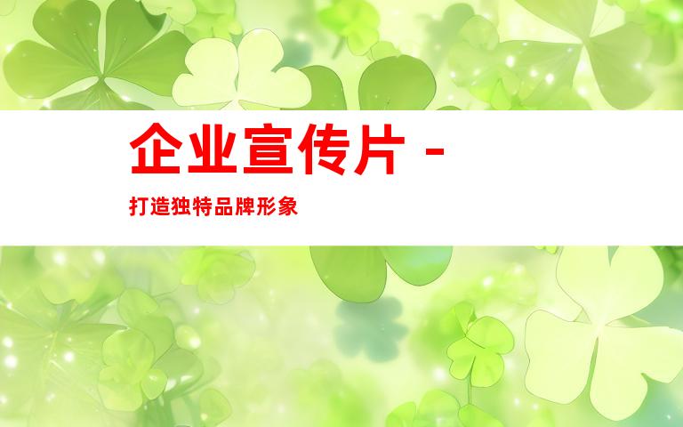 企业宣传片 - 打造独特品牌形象