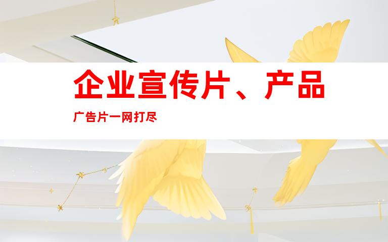 企业宣传片、产品广告片一网打尽