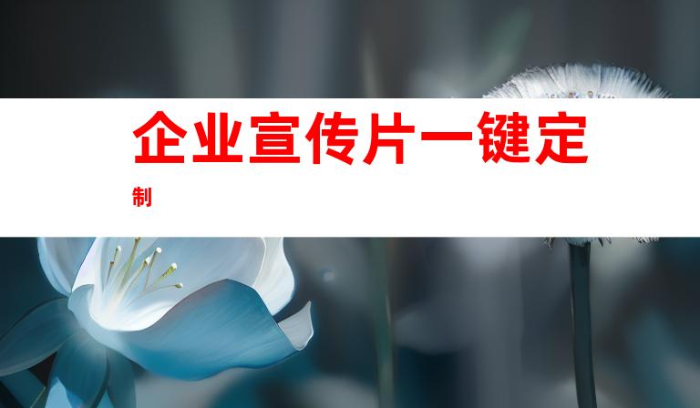 企业宣传片一键定制