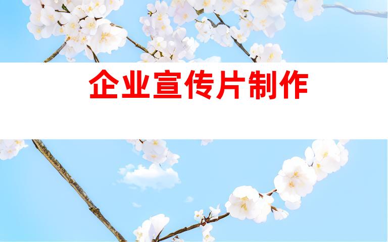 企业宣传片制作