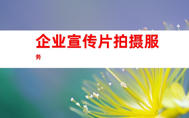 企业宣传片拍摄服务