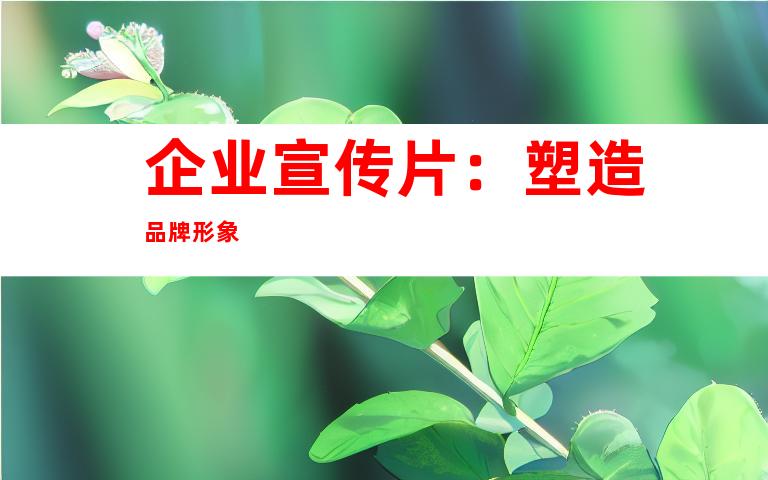 企业宣传片：塑造品牌形象
