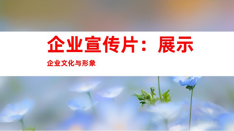 企业宣传片：展示企业文化与形象