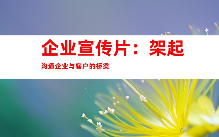 企业宣传片：架起沟通企业与客户的桥梁