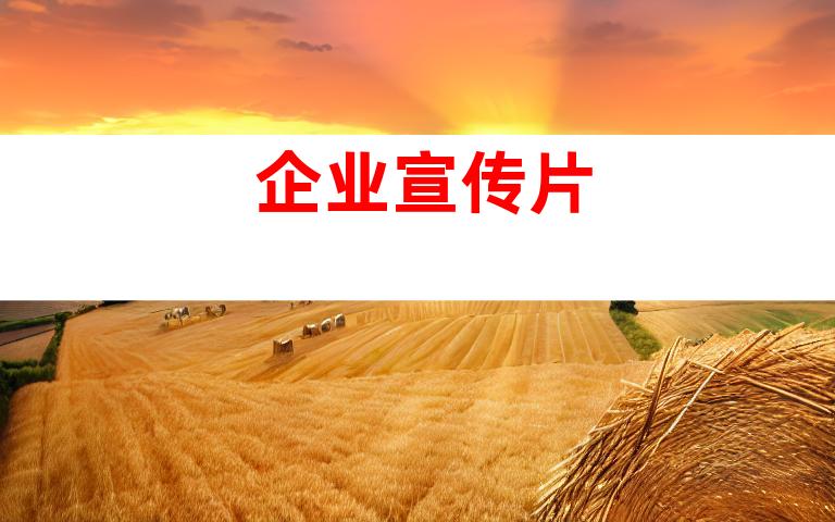 企业宣传片