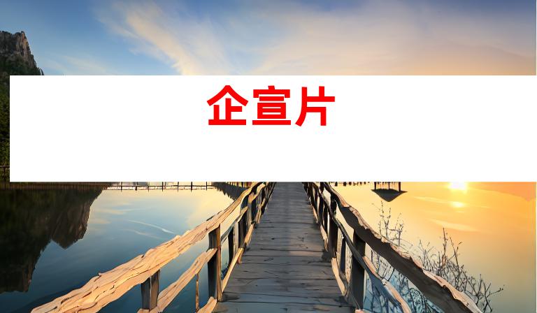 企宣片