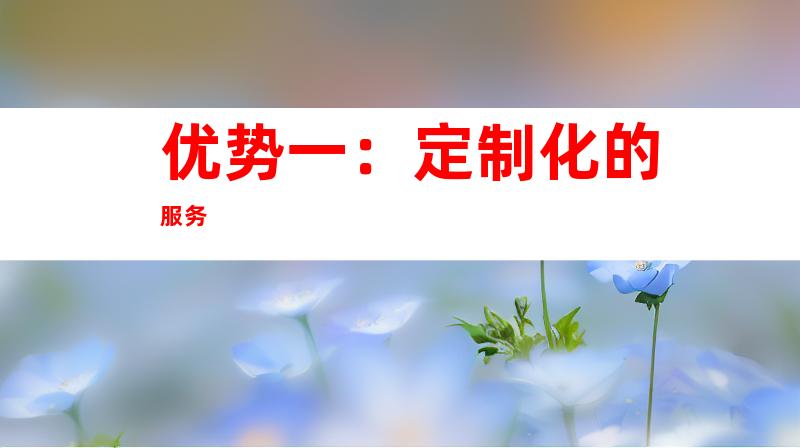 优势一：定制化的服务