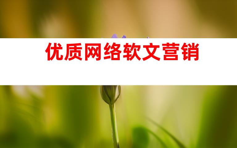 优质网络软文营销
