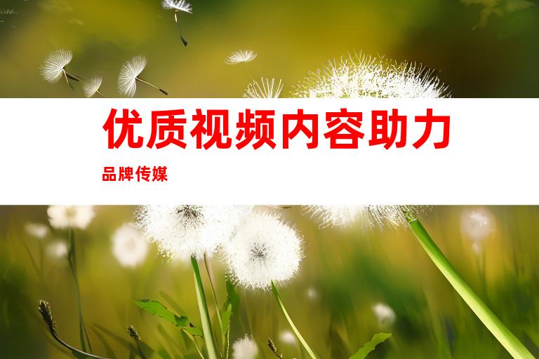 优质视频内容助力品牌传媒