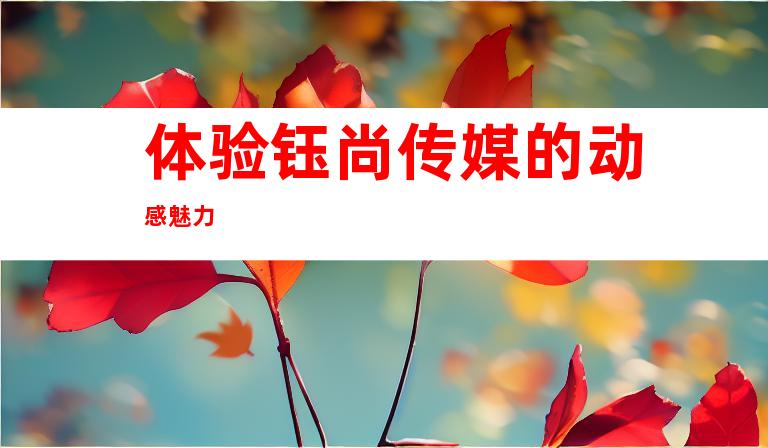 体验钰尚传媒的动感魅力