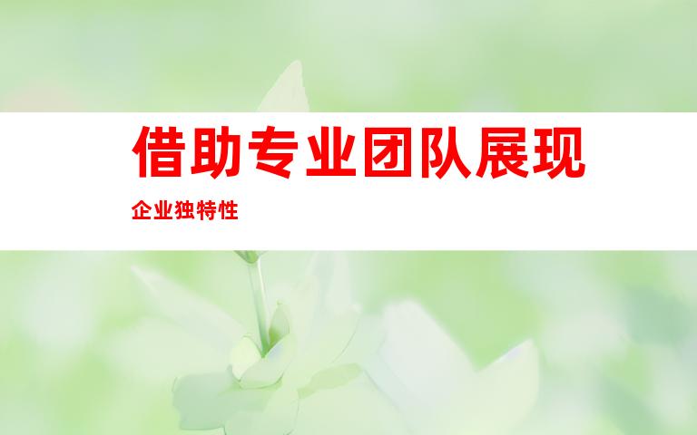 借助专业团队展现企业独特性