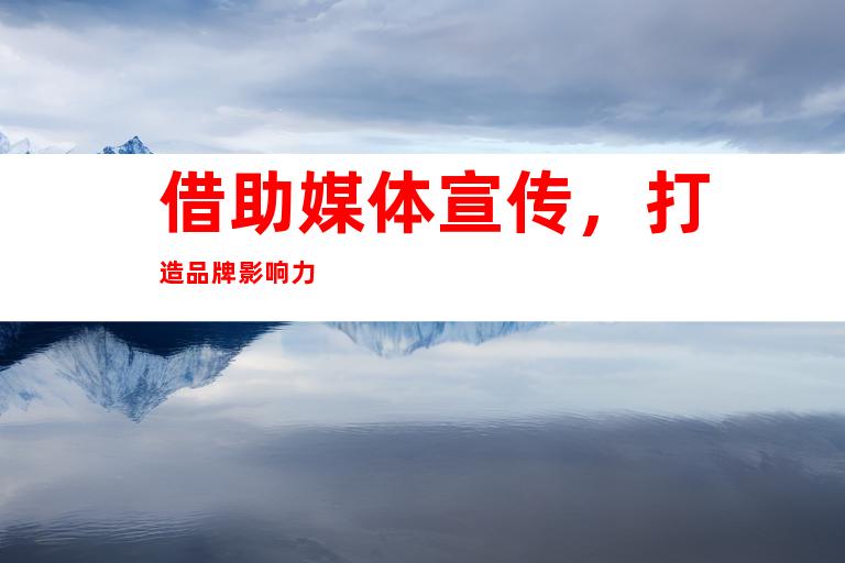 借助媒体宣传,打造品牌影响力