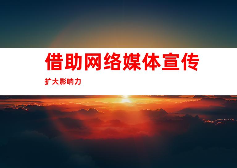 借助网络媒体宣传扩大影响力
