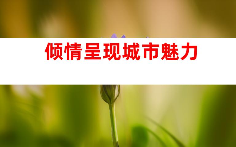 倾情呈现城市魅力
