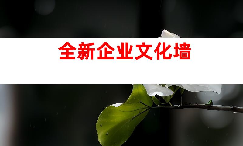 全新企业文化墙