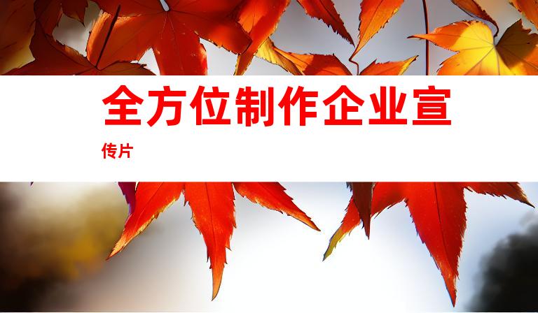 全方位制作企业宣传片