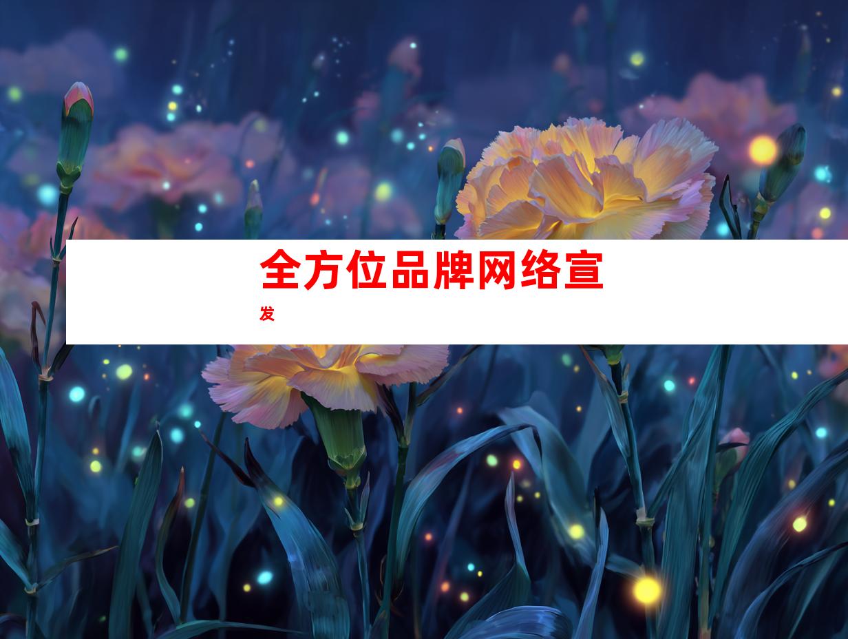 全方位品牌网络宣发