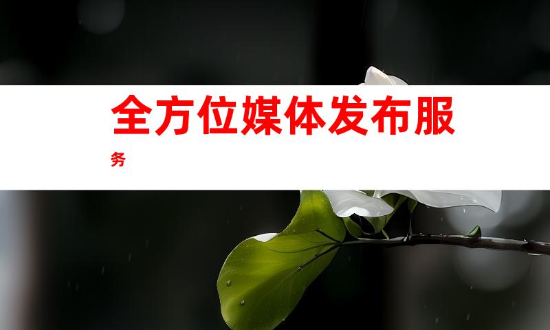全方位媒体发布服务