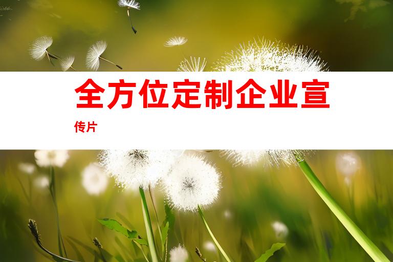 全方位定制企业宣传片