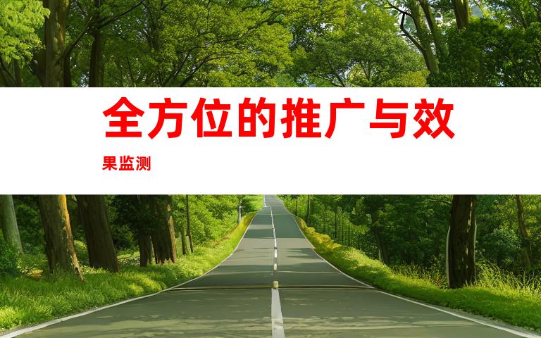 全方位的推广与效果监测