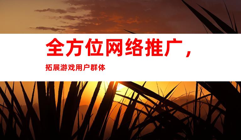 全方位网络推广，拓展游戏用户群体