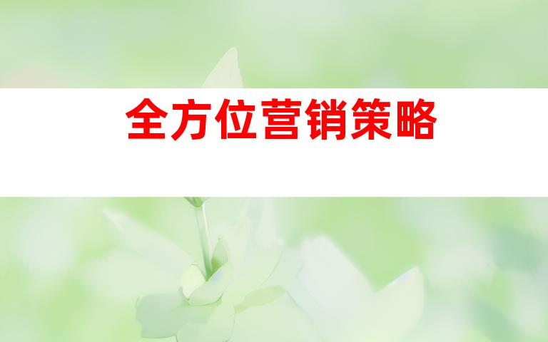 全方位营销策略