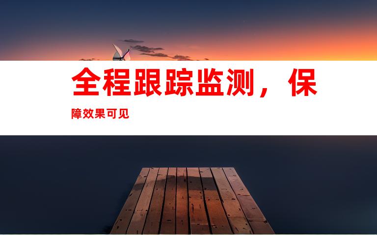 全程跟踪监测，保障效果可见