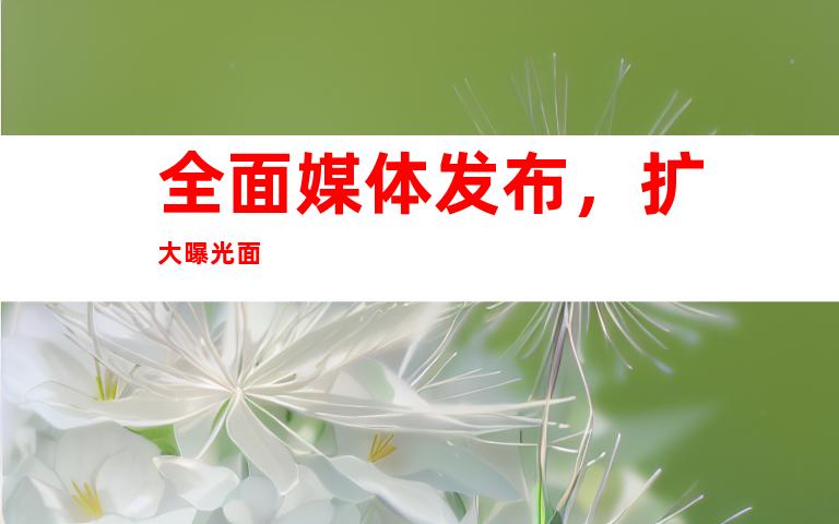 全面媒体发布，扩大曝光面