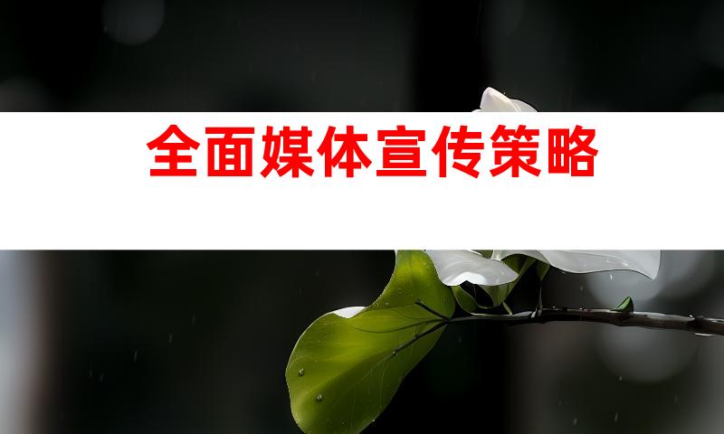 全面媒体宣传策略