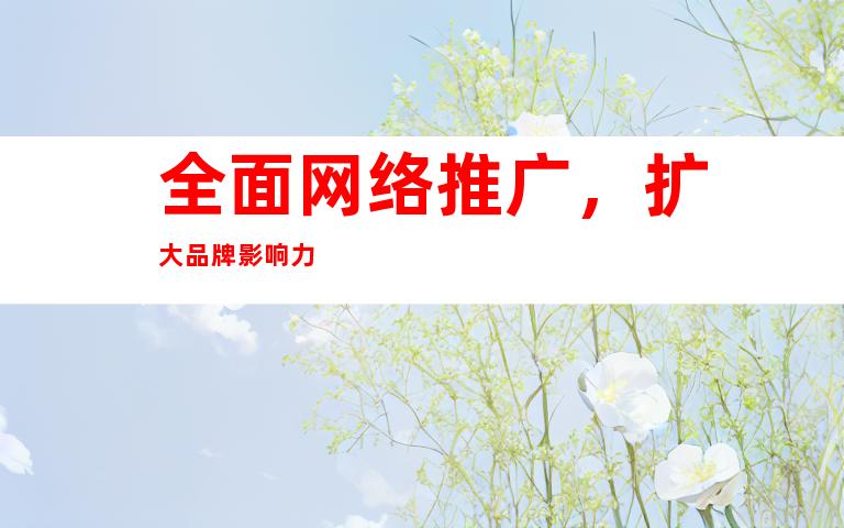 全面网络推广，扩大品牌影响力