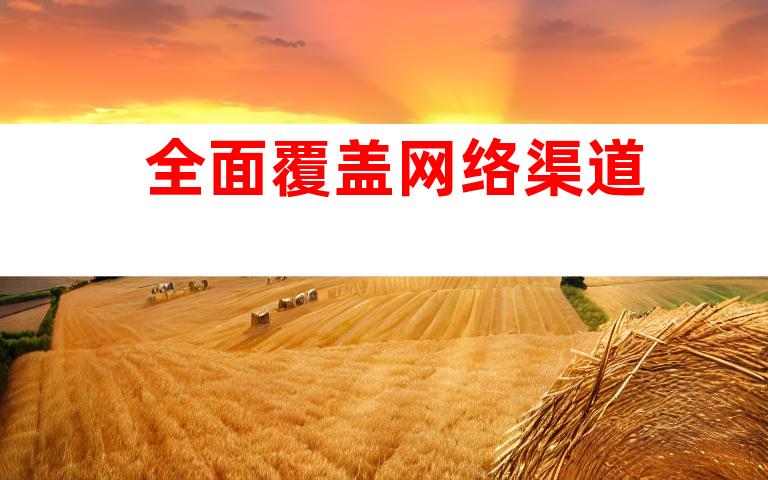 全面覆盖网络渠道