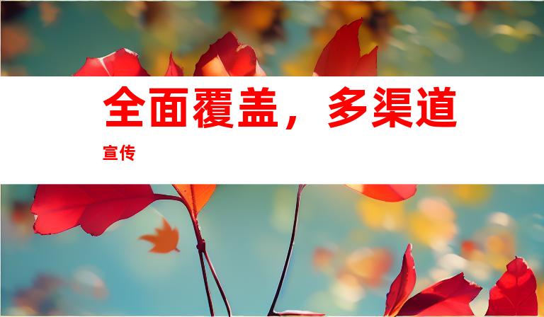 全面覆盖，多渠道宣传
