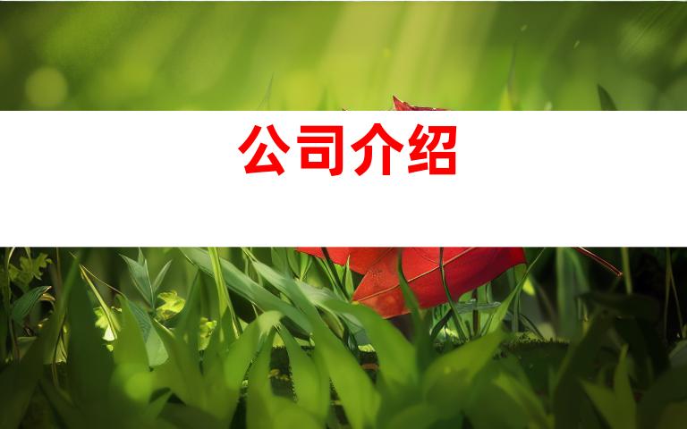 公司介绍