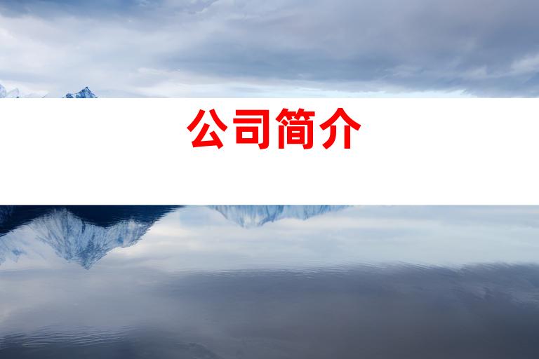 公司简介