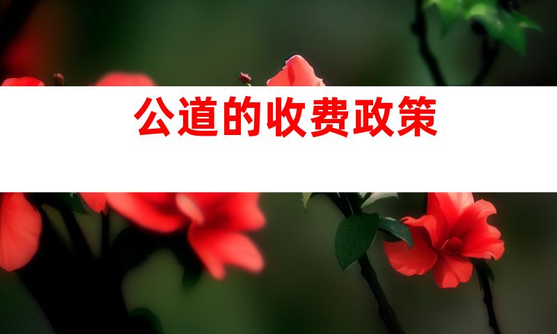 公道的收费政策